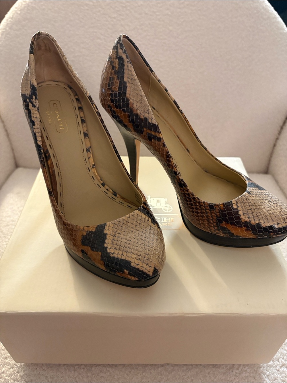 Coach Snake-Print Stiletto Pumps in Brown and Black